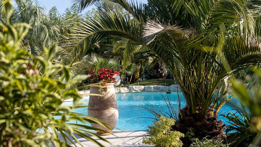 La piscine du restaurant Un Canard sous l'Olivier